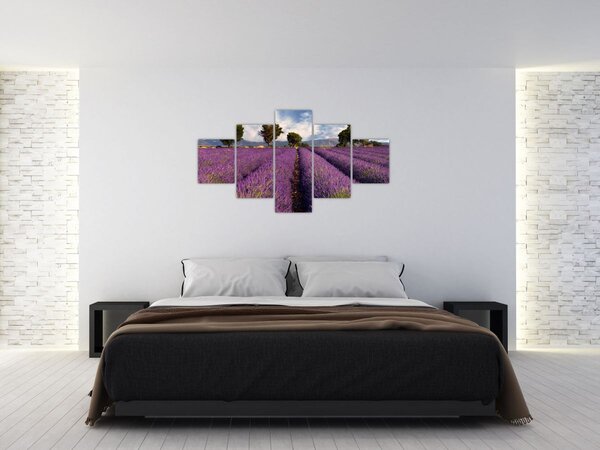 Obraz - Pole lawendy i góry (125x70 cm)