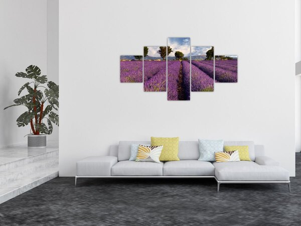 Obraz - Pole lawendy i góry (125x70 cm)