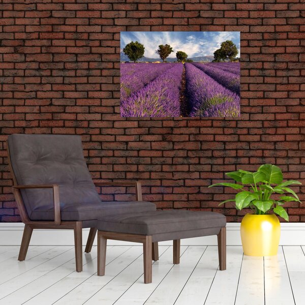 Obraz - Pole lawendy i góry (70x50 cm)
