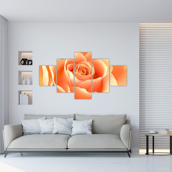 Obraz - Róże, kolor morelowy (125x70 cm)