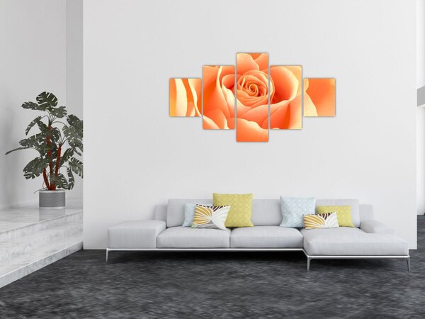 Obraz - Róże, kolor morelowy (125x70 cm)