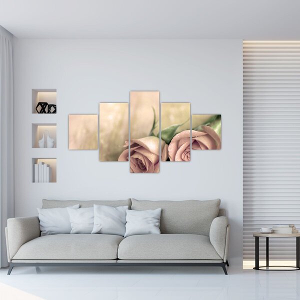 Obraz - Delikatne róże (125x70 cm)