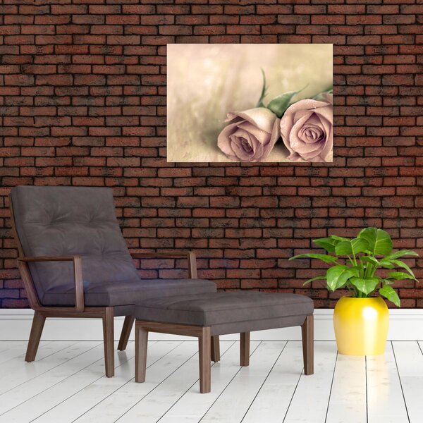 Obraz - Delikatne róże (70x50 cm)