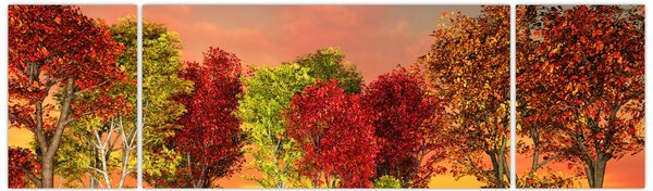 Obraz - Kolorowe drzewa (170x50 cm)