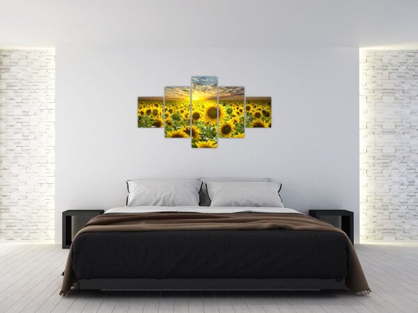 Obraz - Słoneczniki o zachodzie słońca (125x70 cm)