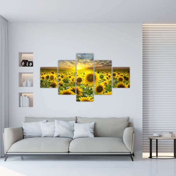 Obraz - Słoneczniki o zachodzie słońca (125x70 cm)