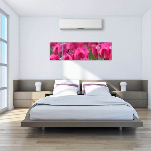 Obraz - Różowe tulipany (170x50 cm)