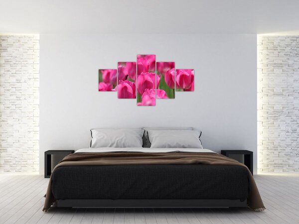 Obraz - Różowe tulipany (125x70 cm)