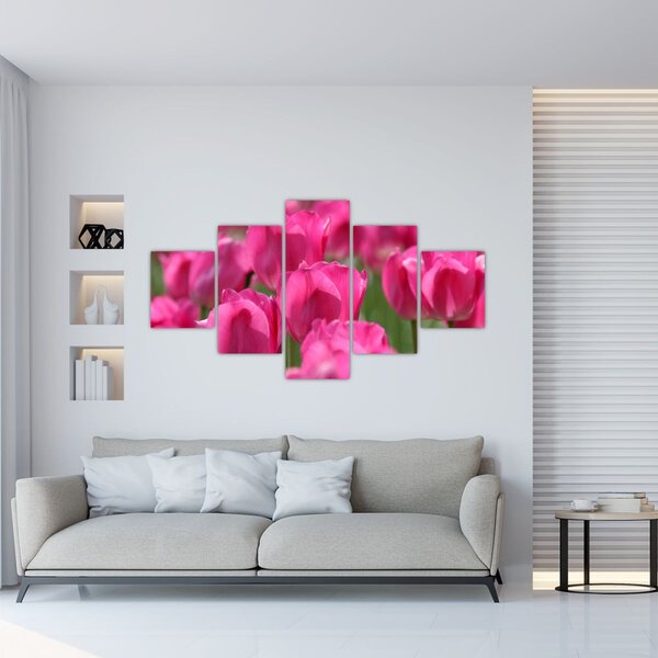 Obraz - Różowe tulipany (125x70 cm)