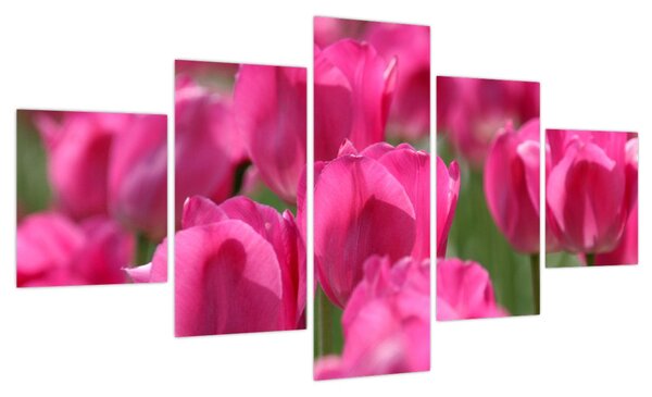 Obraz - Różowe tulipany (125x70 cm)