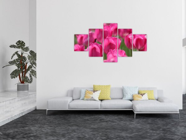 Obraz - Różowe tulipany (125x70 cm)