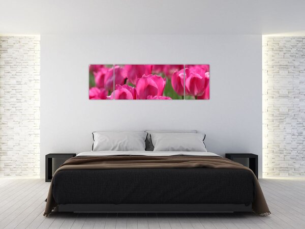 Obraz - Różowe tulipany (170x50 cm)