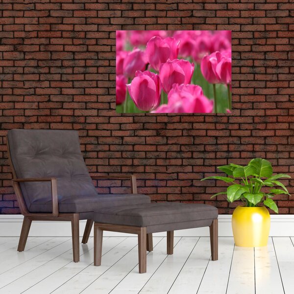 Obraz - Różowe tulipany (70x50 cm)