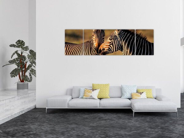 Obraz - Dwie zebry (170x50 cm)