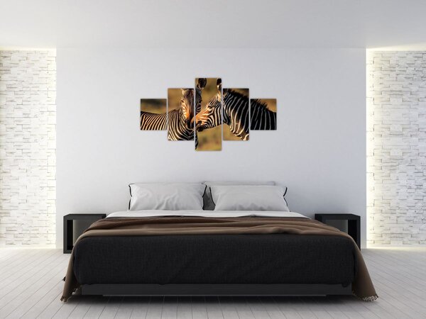 Obraz - Dwie zebry (125x70 cm)