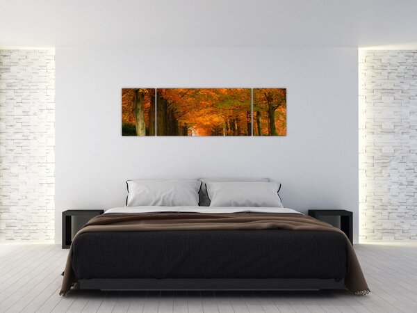 Obraz - Aleja drzew jesienią (170x50 cm)