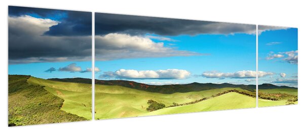 Obraz - Zielony krajobraz ze wzgórzami (170x50 cm)