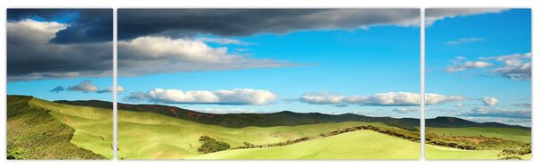 Obraz - Zielony krajobraz ze wzgórzami (170x50 cm)