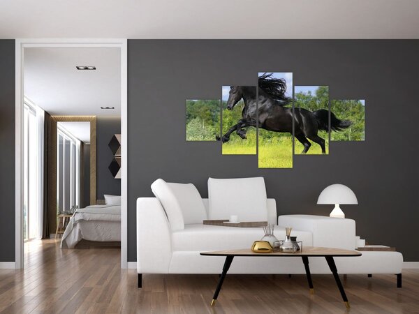 Obraz - Koń z płynącą grzywą (125x70 cm)