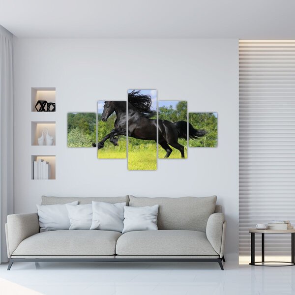 Obraz - Koń z płynącą grzywą (125x70 cm)