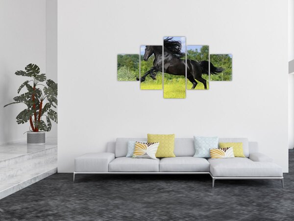 Obraz - Koń z płynącą grzywą (125x70 cm)