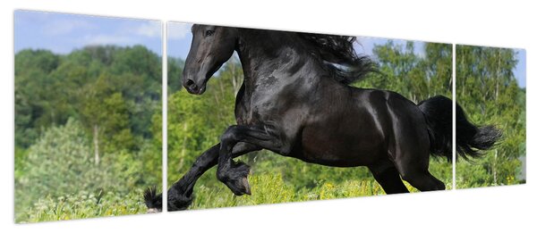 Obraz - Koń z płynącą grzywą (170x50 cm)