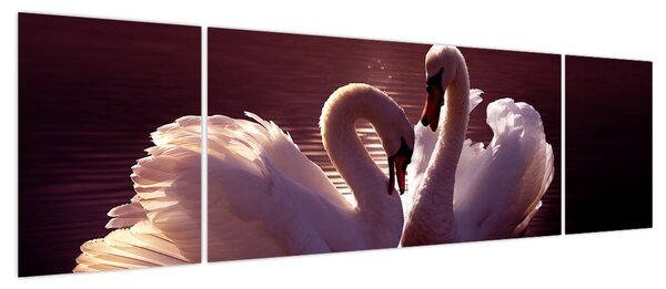 Obraz - Łabędzie na jeziorze (170x50 cm)