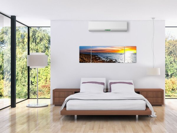 Obraz - Mewa lecąca nad wybrzeżem (170x50 cm)