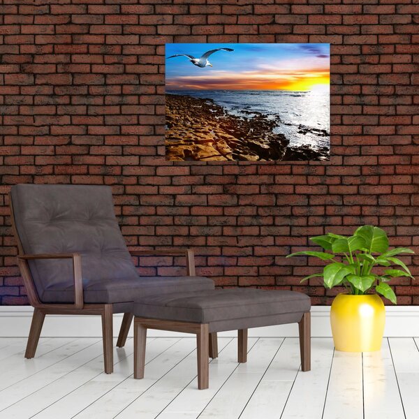 Obraz - Mewa lecąca nad wybrzeżem (70x50 cm)