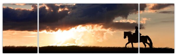 Obraz - Jeździec na koniu o zachodzie słońca (170x50 cm)