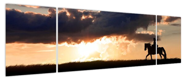 Obraz - Jeździec na koniu o zachodzie słońca (170x50 cm)