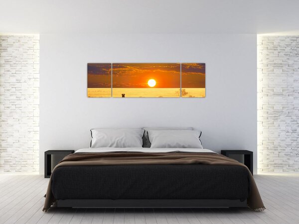 Obraz - Zebry z zachodem słońca (170x50 cm)