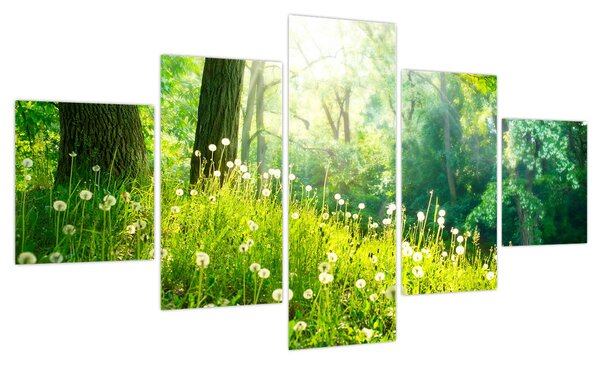 Obraz - Magiczna łąka pełna mniszków lekarskich (125x70 cm)