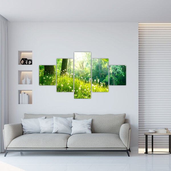 Obraz - Magiczna łąka pełna mniszków lekarskich (125x70 cm)