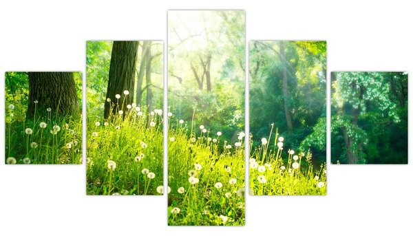 Obraz - Magiczna łąka pełna mniszków lekarskich (125x70 cm)