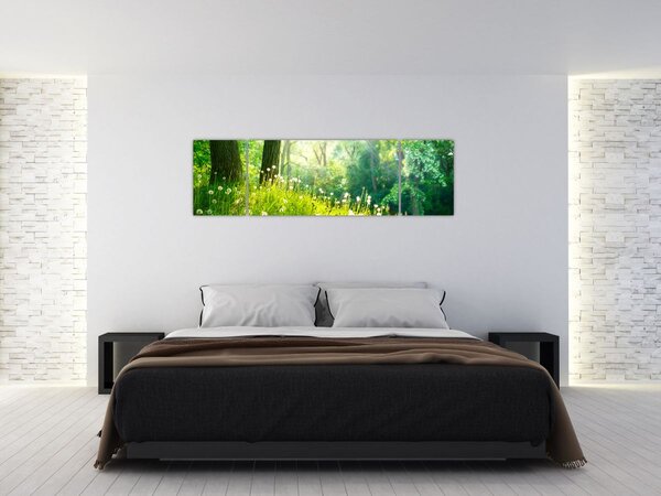 Obraz - Magiczna łąka pełna mniszków lekarskich (170x50 cm)