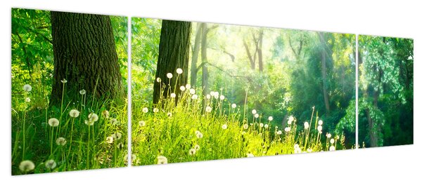 Obraz - Magiczna łąka pełna mniszków lekarskich (170x50 cm)