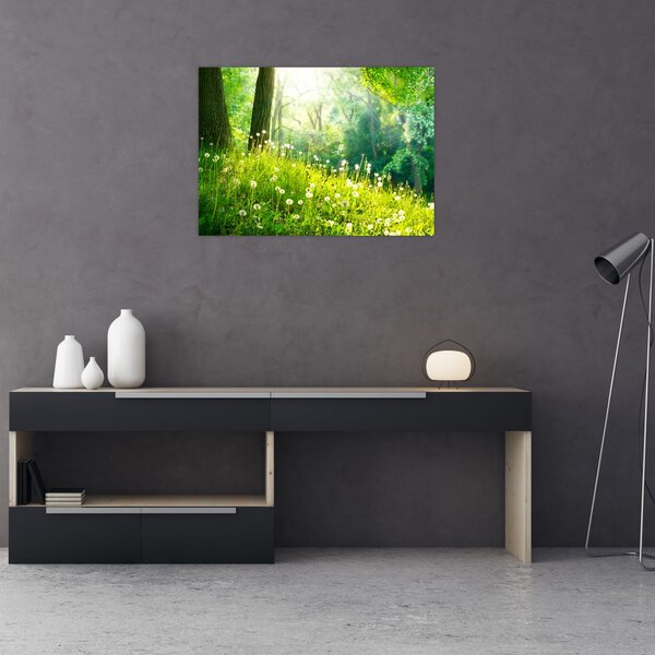 Obraz - Magiczna łąka pełna mniszków lekarskich (70x50 cm)