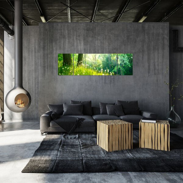 Obraz - Magiczna łąka pełna mniszków lekarskich (170x50 cm)