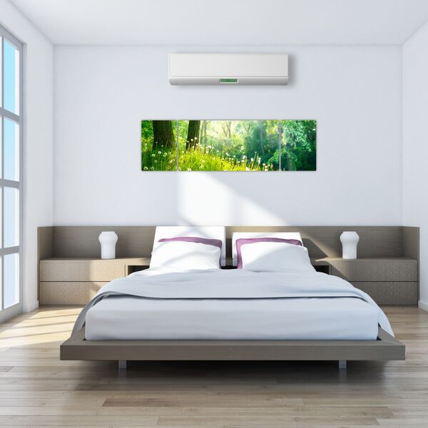 Obraz - Magiczna łąka pełna mniszków lekarskich (170x50 cm)