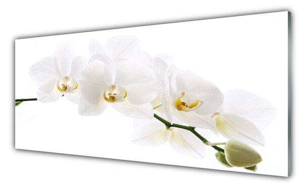Obraz na Szkle Kwiaty Orchidea