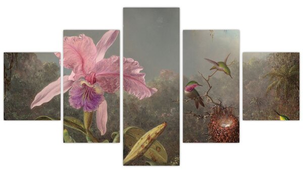 Obraz - Martin Johnson Heade, Cattleya Orchid and Three Hummingbirds, reprodukcje (125x70 cm)
