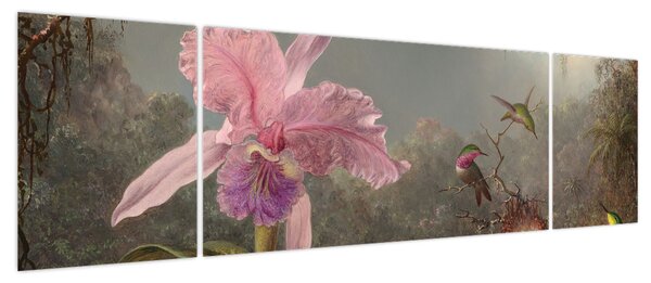 Obraz - Martin Johnson Heade, Cattleya Orchid and Three Hummingbirds, reprodukcje (170x50 cm)