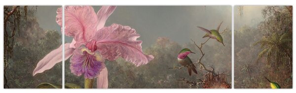 Obraz - Martin Johnson Heade, Cattleya Orchid and Three Hummingbirds, reprodukcje (170x50 cm)