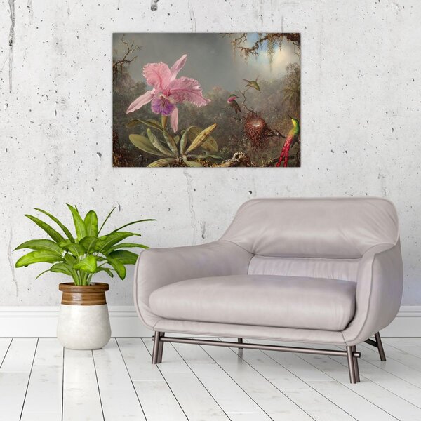 Obraz - Martin Johnson Heade, Cattleya Orchid and Three Hummingbirds, reprodukcje (70x50 cm)