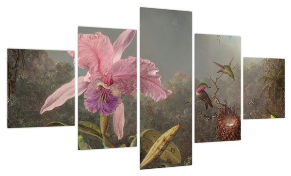 Obraz - Martin Johnson Heade, Cattleya Orchid and Three Hummingbirds, reprodukcje (125x70 cm)