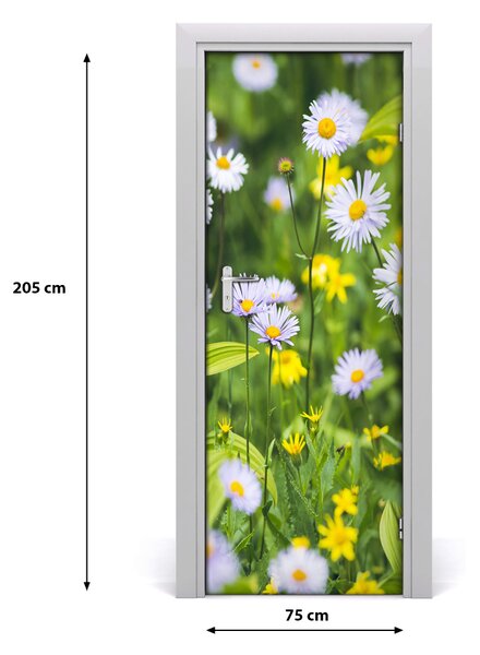 Okleina Naklejka fototapeta na drzwi Stokrotki