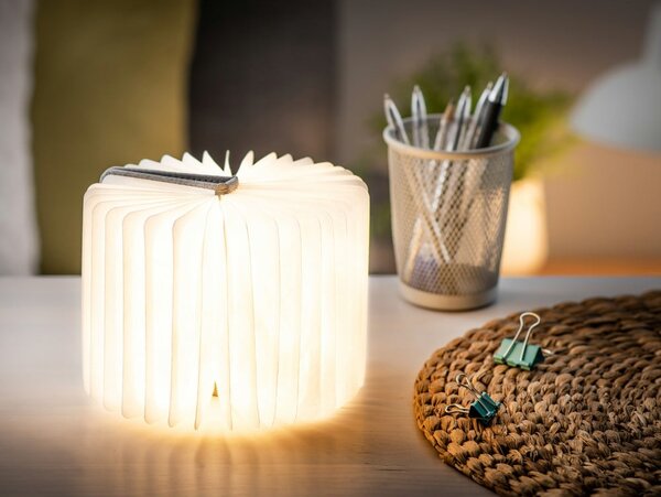 Szara dekoracja świetlna na USB Booklight – Gingko