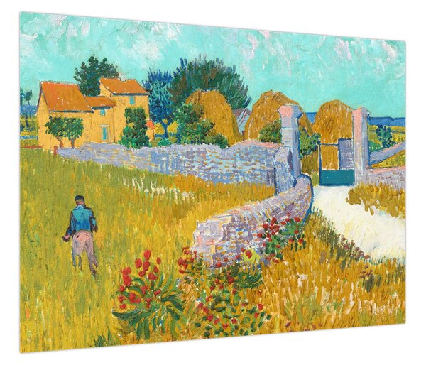 Obraz - Vincent van Gogh, Farmhouse in Provence, reprodukcje (70x50 cm)