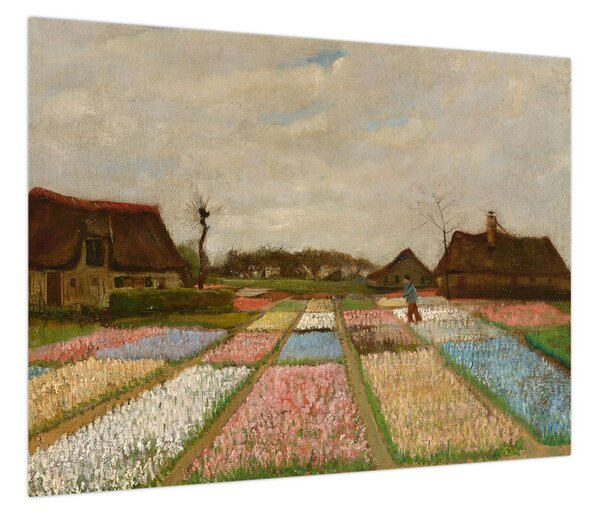 Obraz - Vincent van Gogh, Flower Beds in Holland, reprodukcje (70x50 cm)